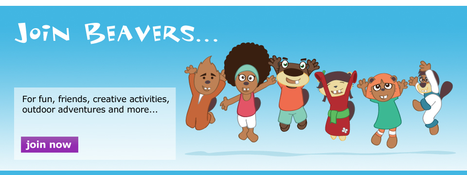 Join Beavers